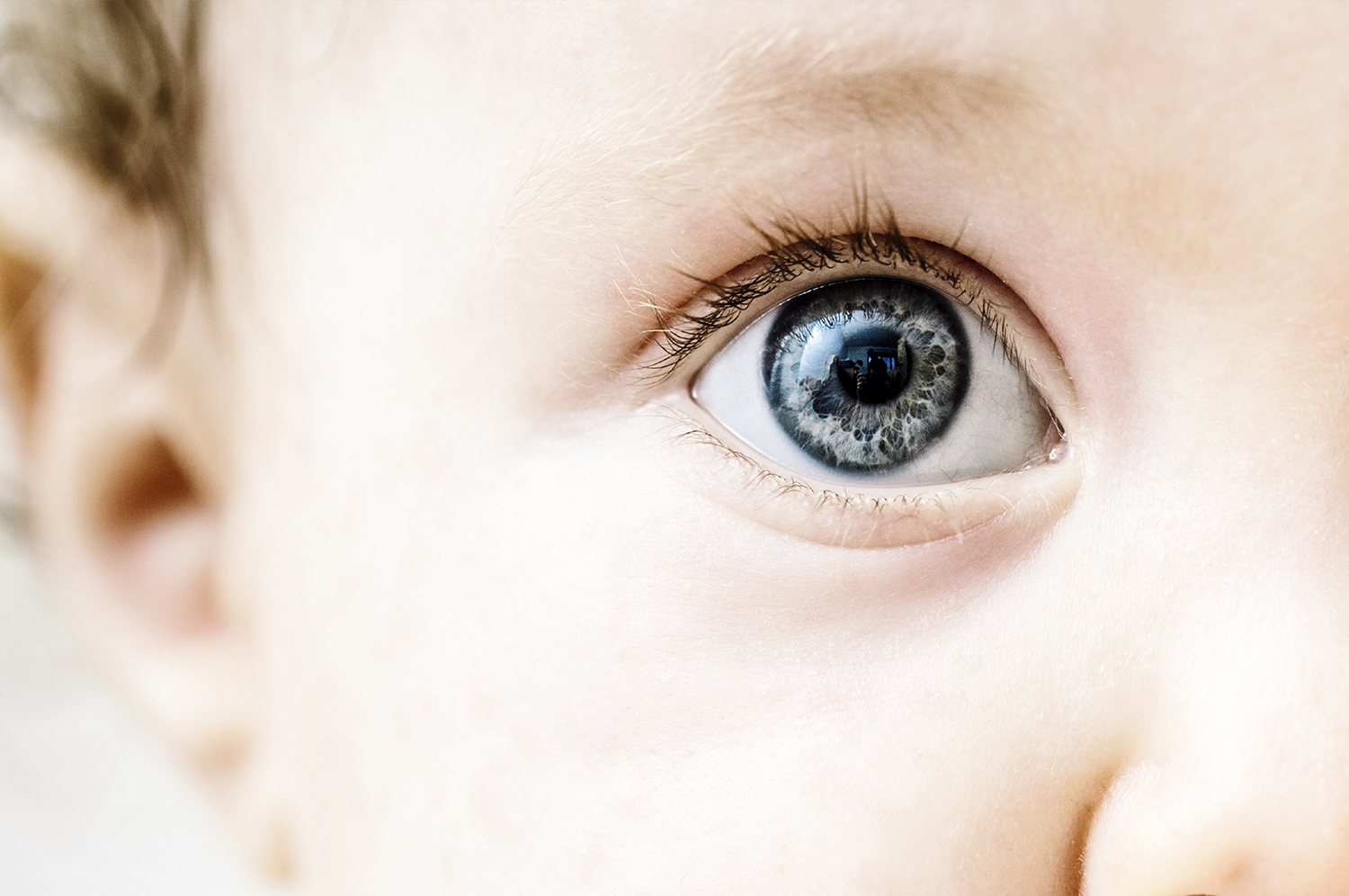 Look Into Future.png