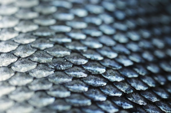 Single Minded Inspiration.jpg